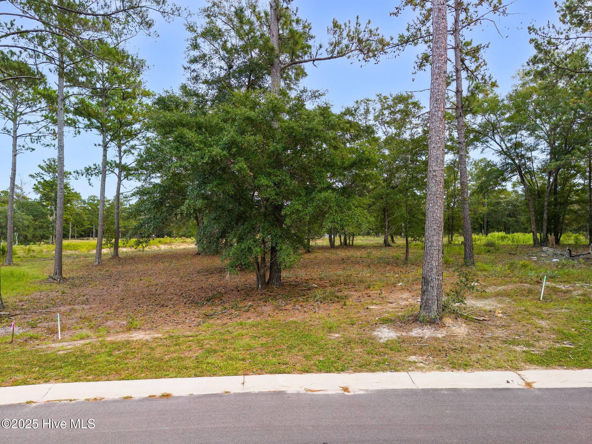 Sunset Beach, NC 28468,7472 Donegal CIR SW