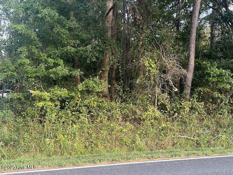 Clarkton, NC 28433,4595 Mercer Mill Brown Marsh RD