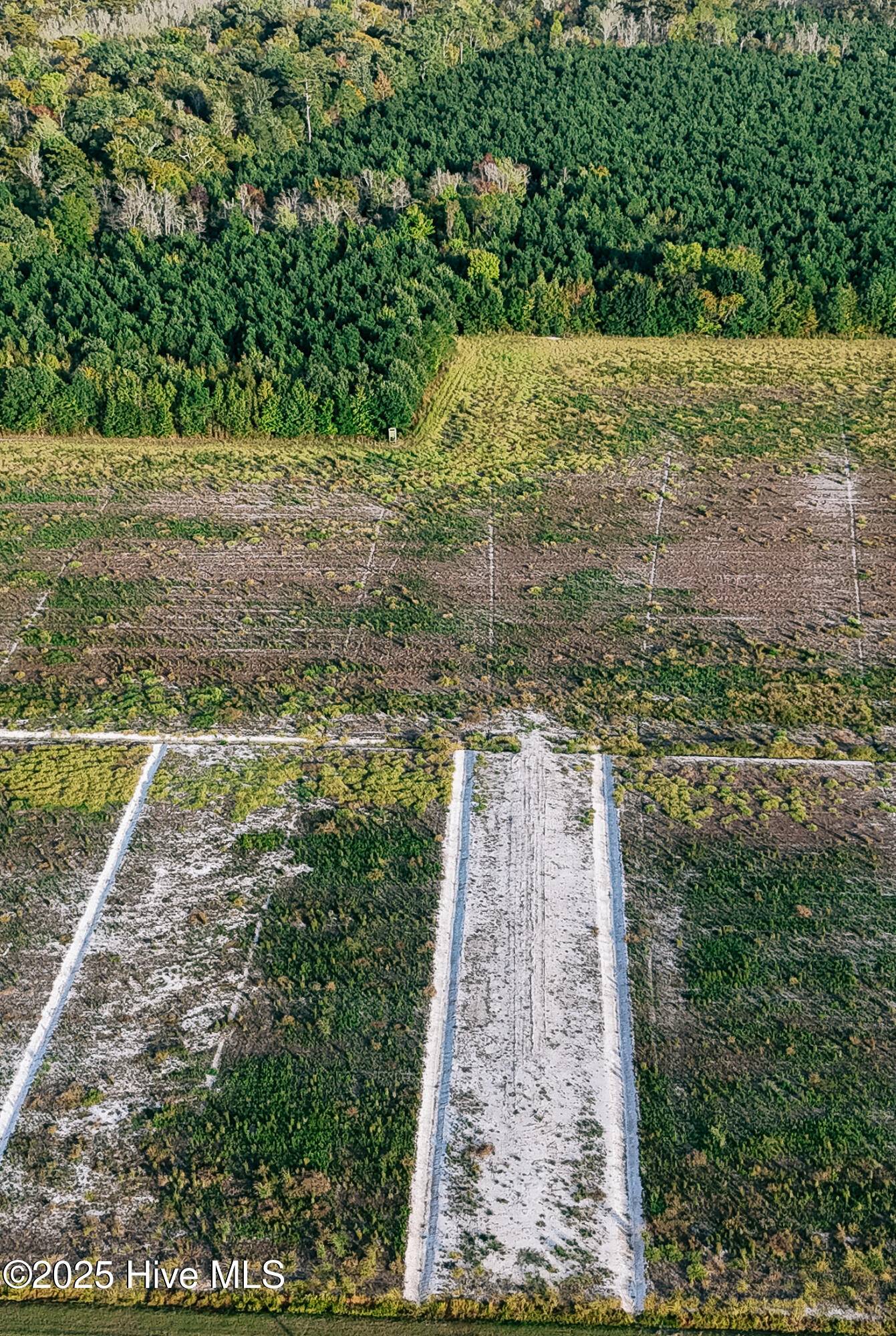 Hertford, NC 27944,Tbd Boat Ramp RD