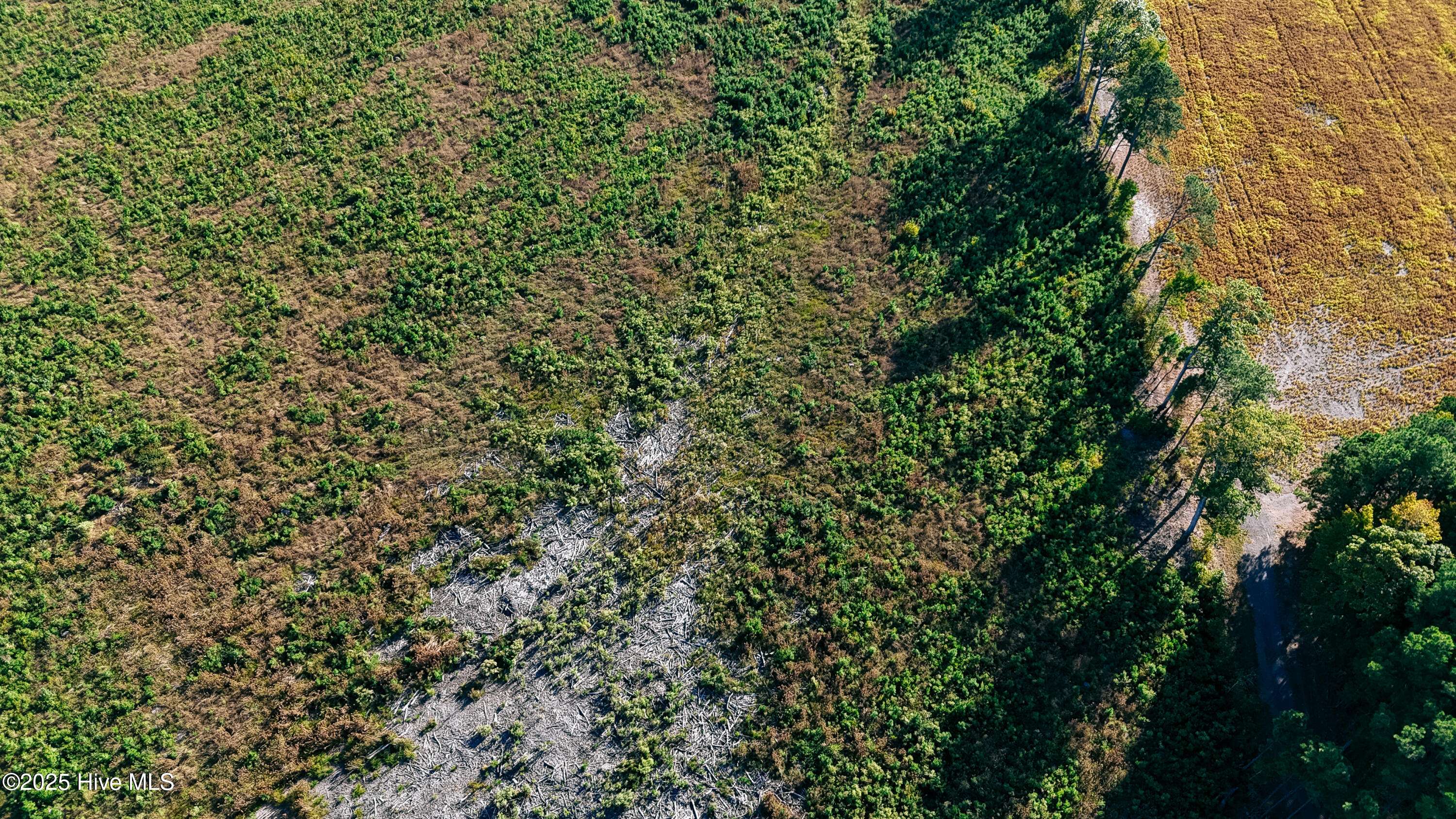 Hertford, NC 27944,Tbd Cove RD