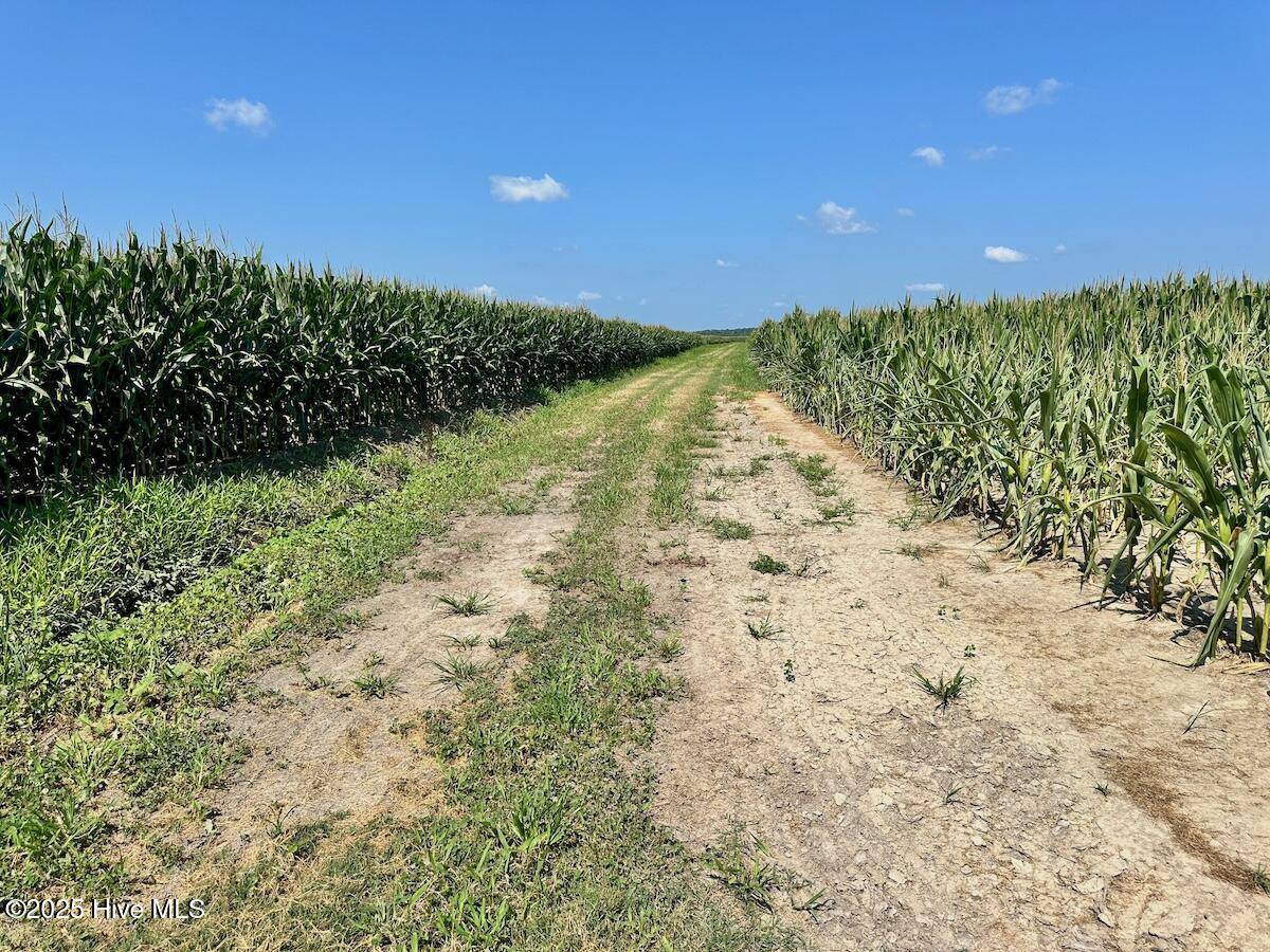 Corapeake, NC 27926,108 Savage RD