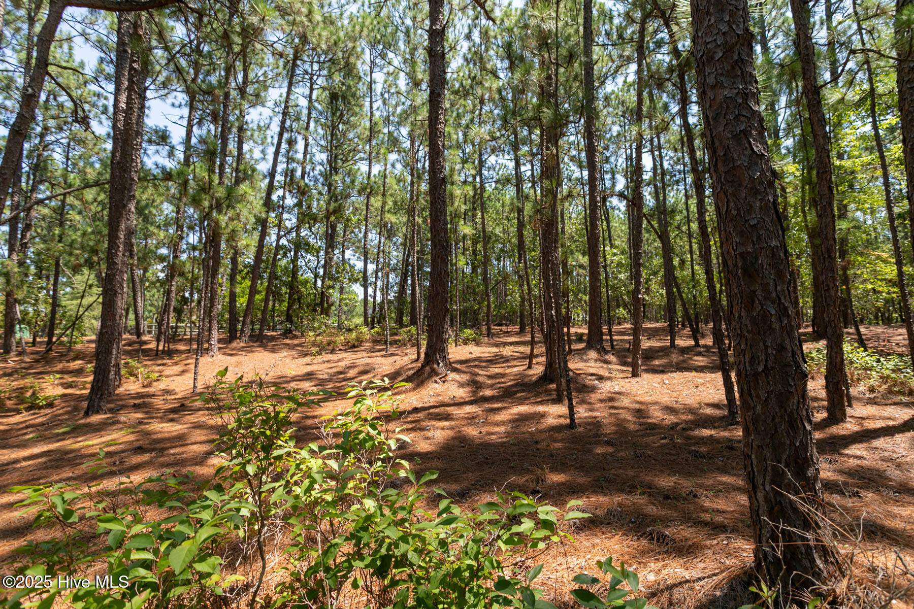 West End, NC 27376,106 Brendell CT