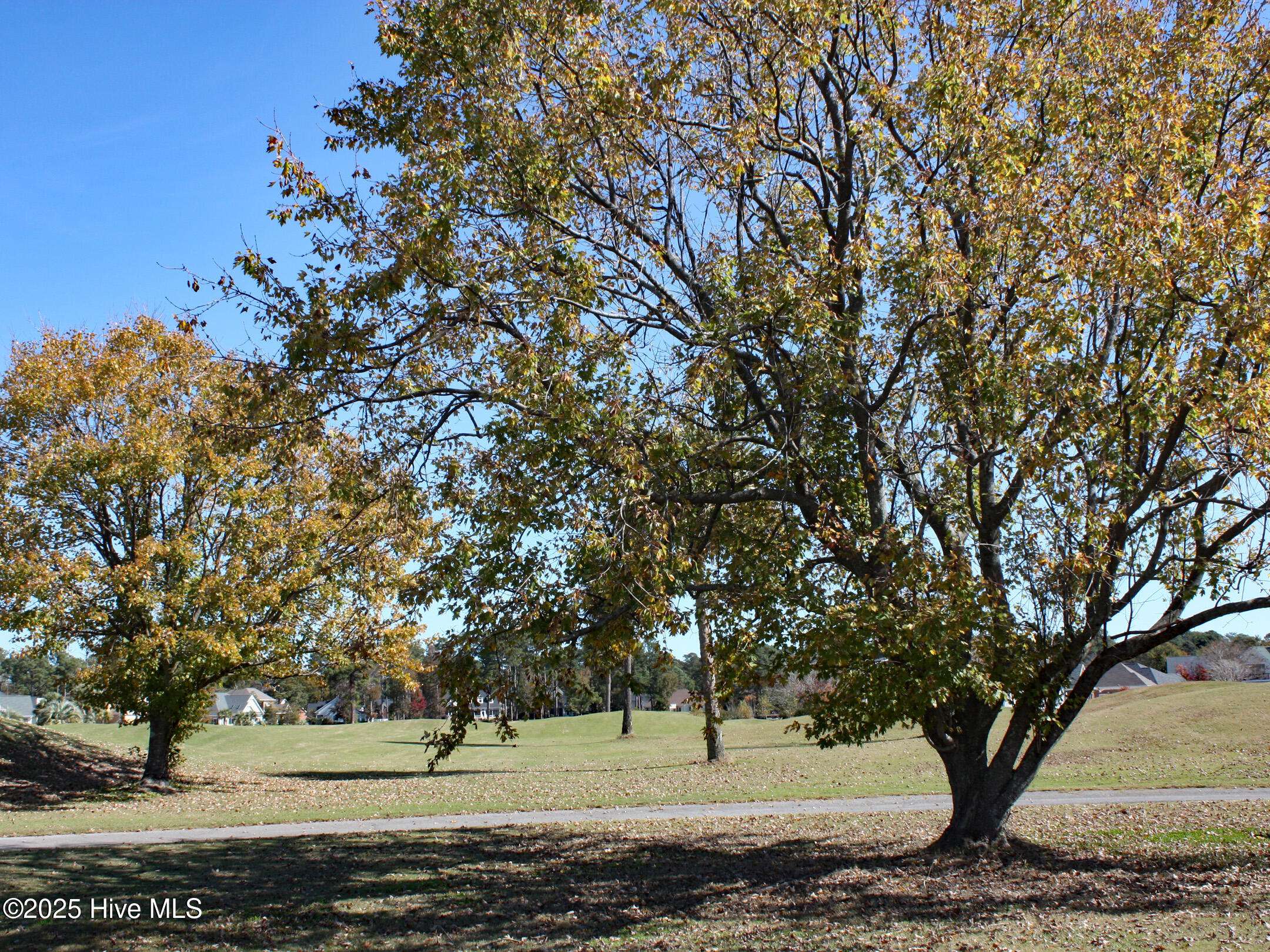 Ocean Isle Beach, NC 28469,7000 Bloomsbury CT SW