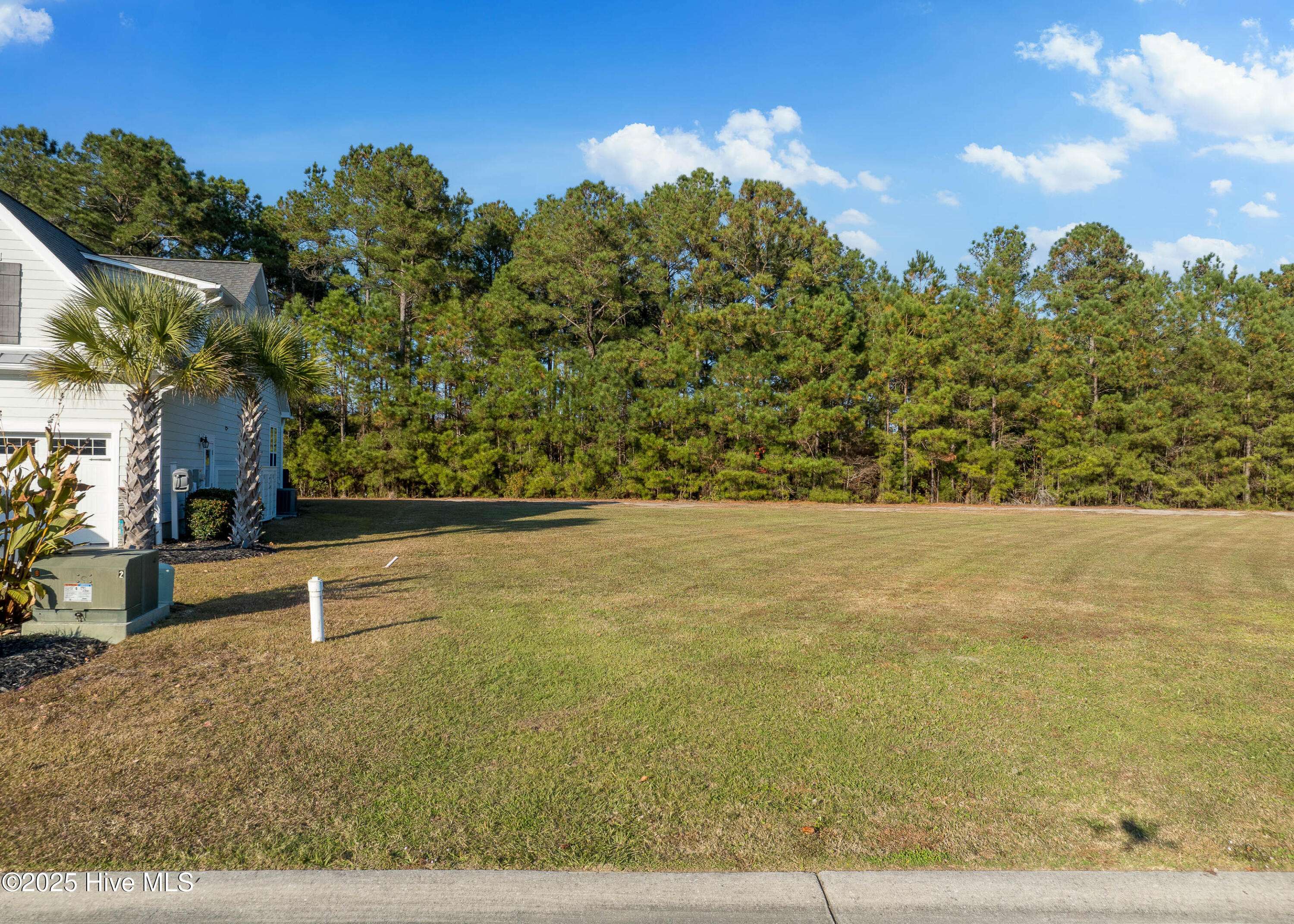 Holly Ridge, NC 28445,193 Twining Rose LN