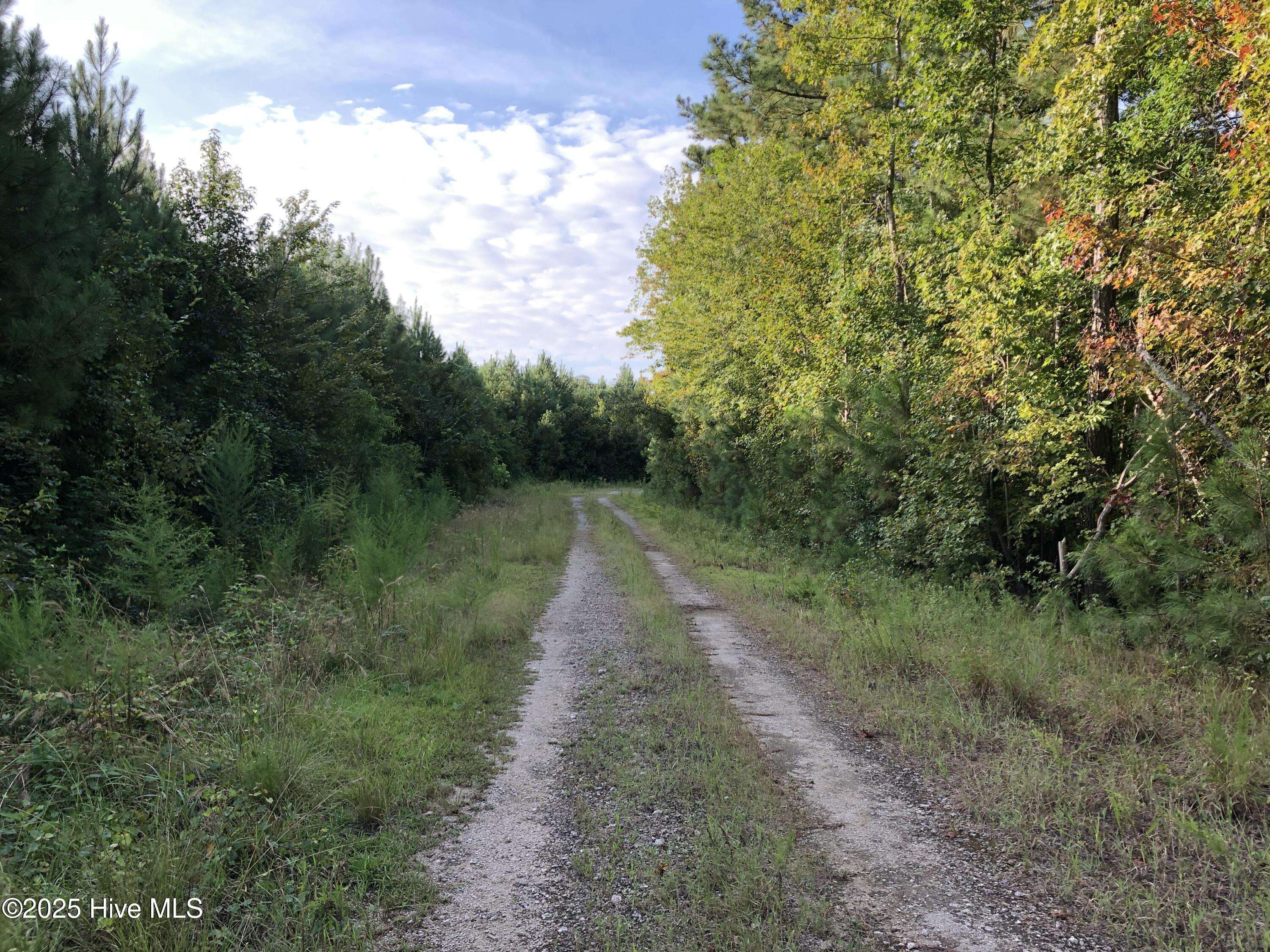 Trenton, NC 28585,0 Off Plantation Rd