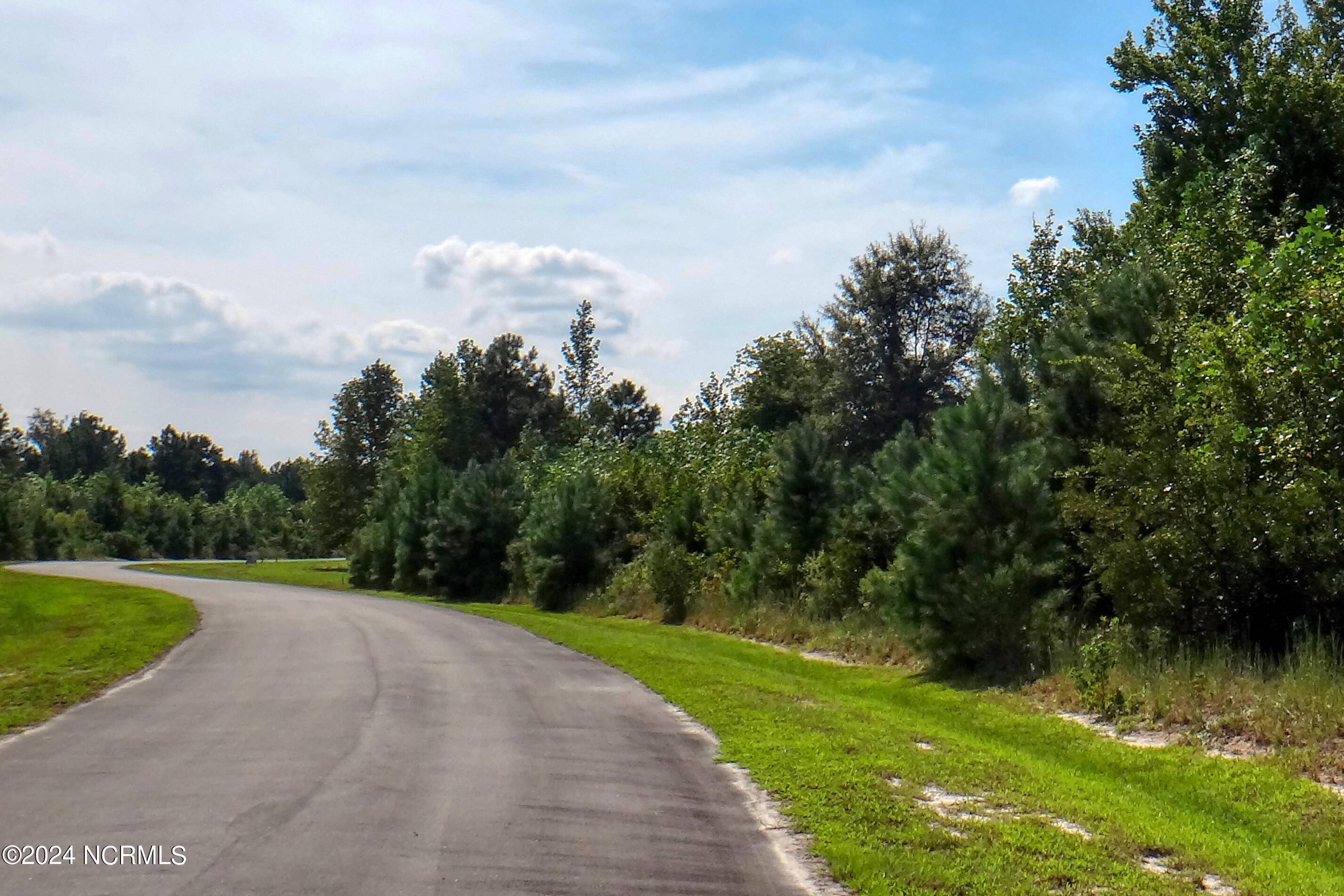 Blounts Creek, NC 27814,Lot 85 Eagle Nest TRL