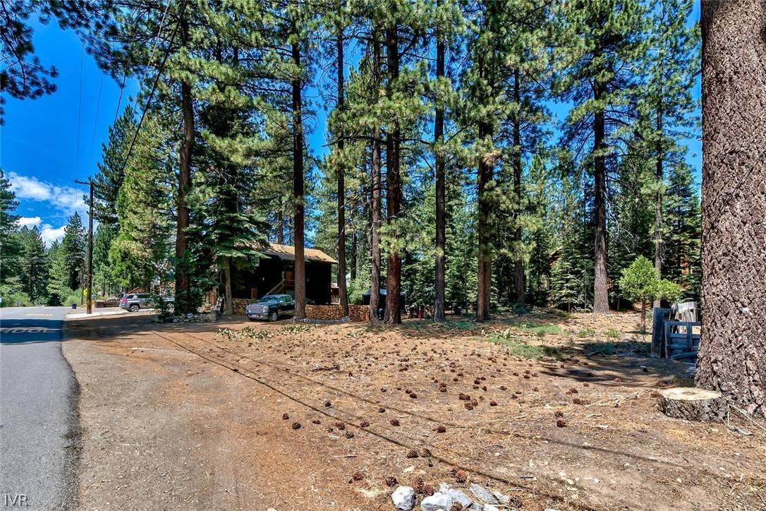 Kings Beach, NV 96143,8185 Dolly Varden