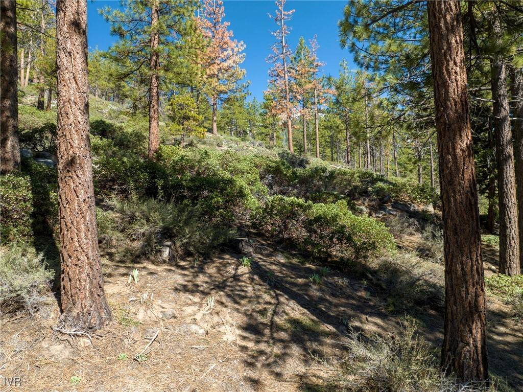 Incline Village, NV 89451,1065 Lucerne WAY