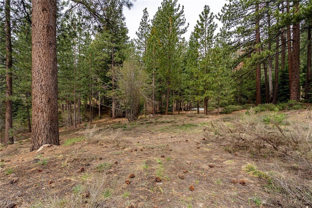 Incline Village, NV 89451,585 Village BLVD