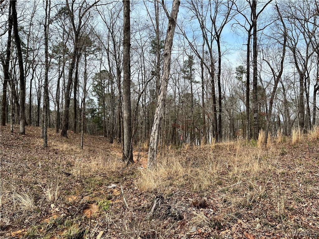 Northport, AL 35475,LOT#10 Edgewater DR