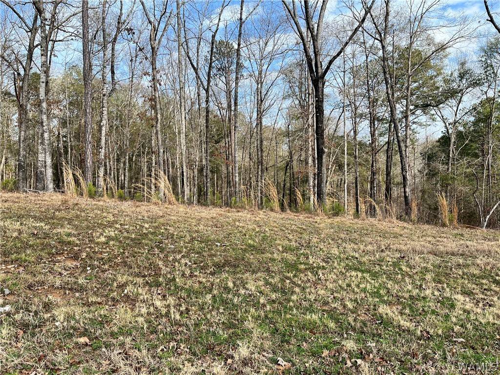 Northport, AL 35475,LOT#33 Edgewater DR