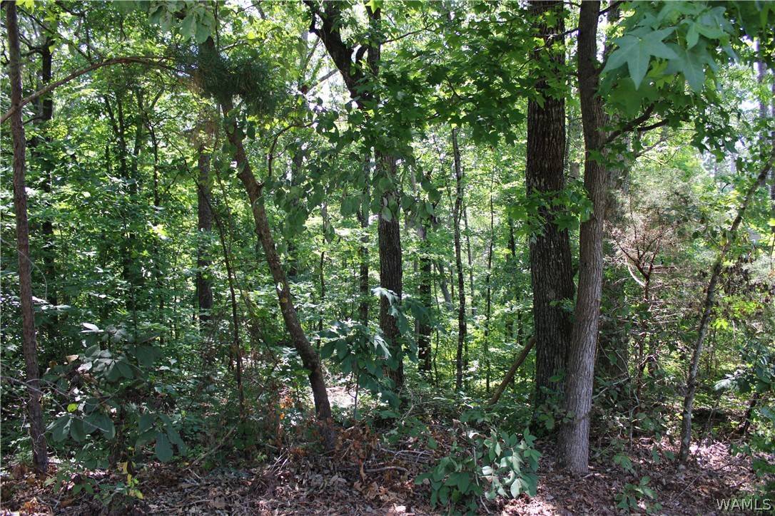 Mccalla, AL 35111,00 Oak Forest Drive