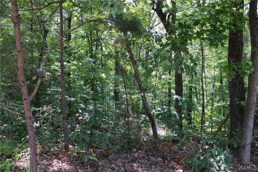 Mccalla, AL 35111,00 Oak Forest Drive