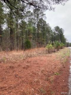 Centreville, AL 35042,0 Hwy 219