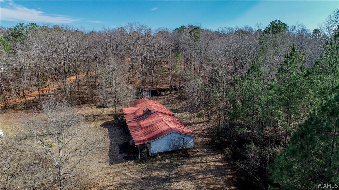 Vance, AL 35490,11333 Hen Smith RD