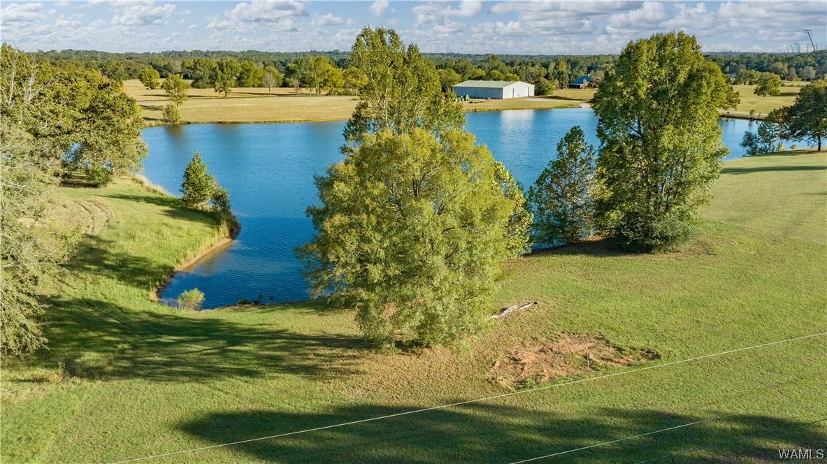 Northport, AL 35475,10 Hilltop Estates