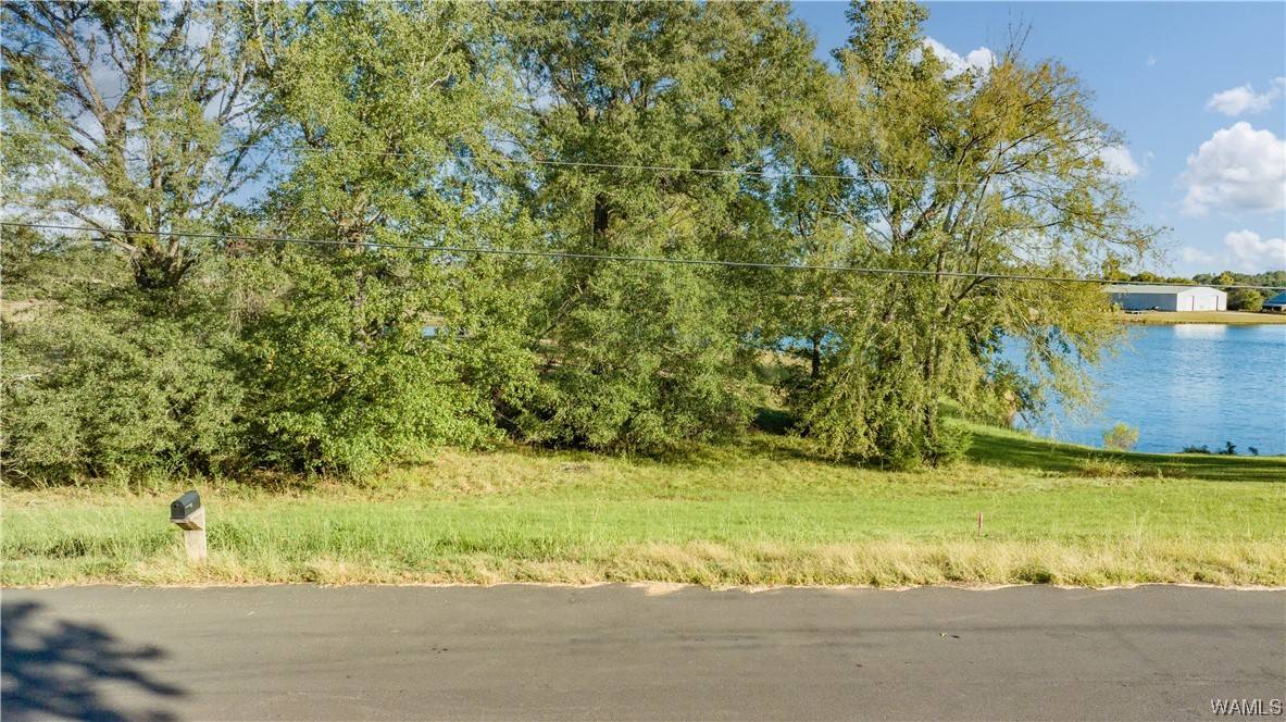 Northport, AL 35475,13 Hilltop Estates