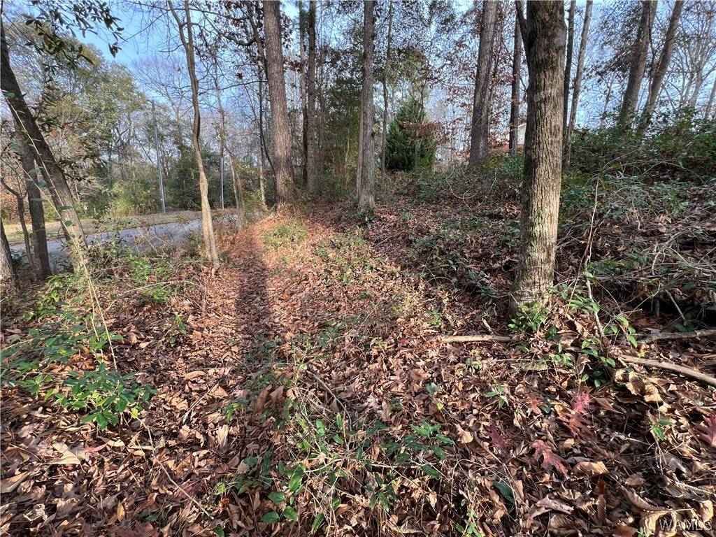 Tuscaloosa, AL 35404,5421 Summerfield Dr E