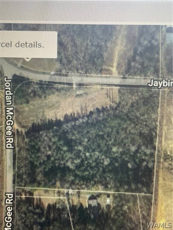 Cottondale, AL 35453,0 Jaybird RD