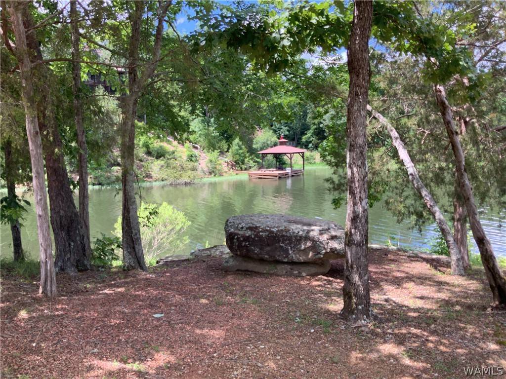 Northport, AL 35475,0 LEGACY PT #51