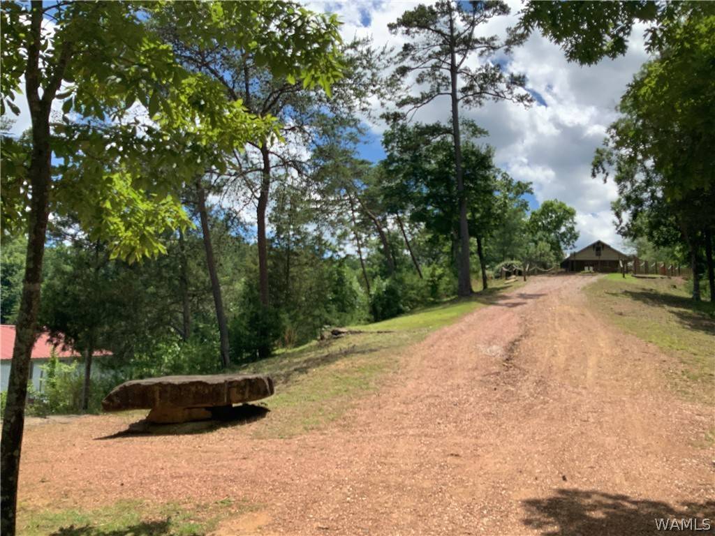 Northport, AL 35475,0 LEGACY PT #51
