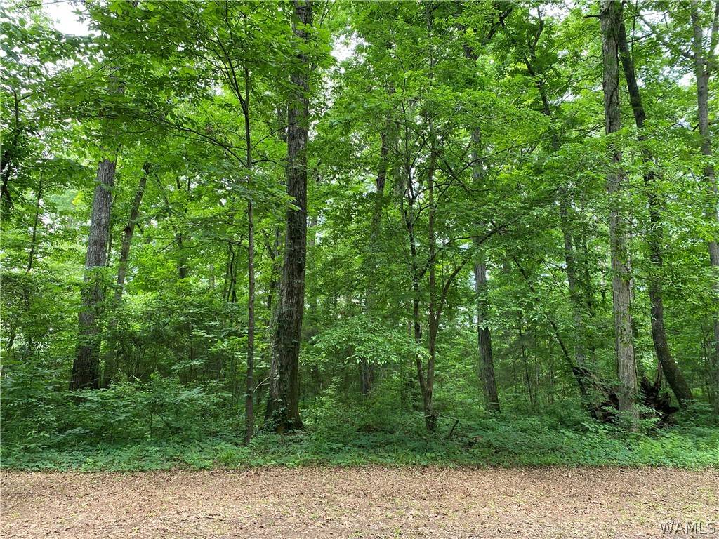 Eutaw, AL 35462,000 Bass DR