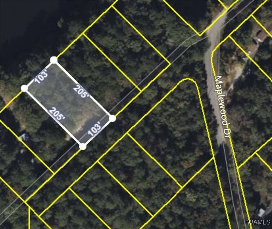 Vance, AL 35490,000 S Shore DR