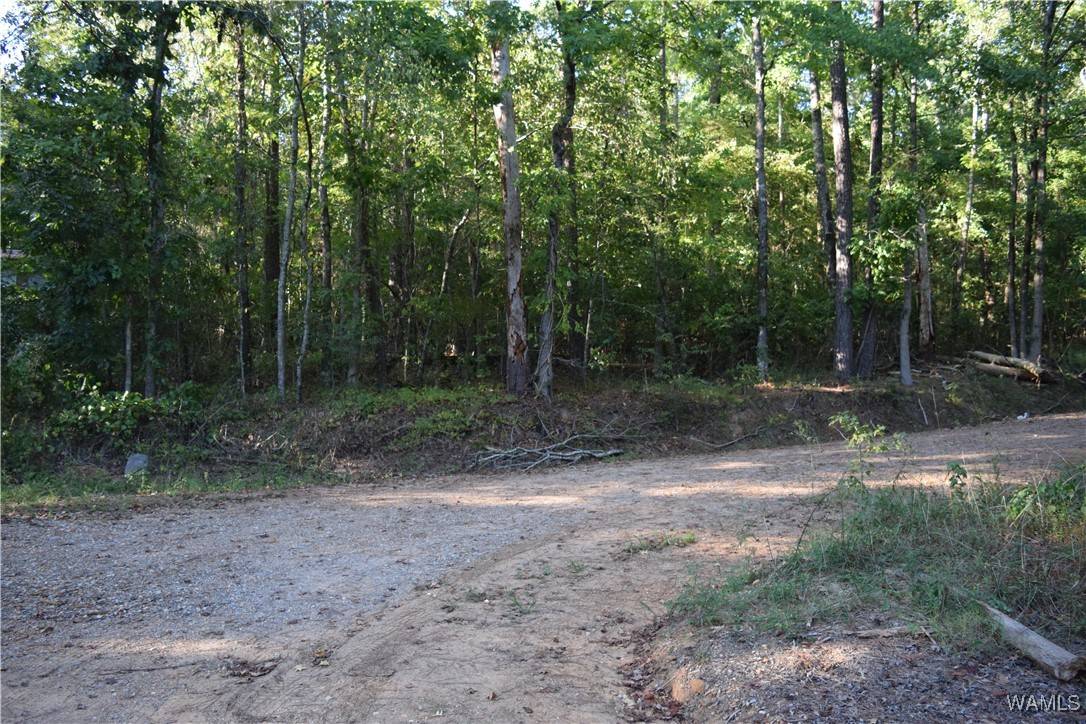 Mccalla, AL 35111,000 Cary Drive