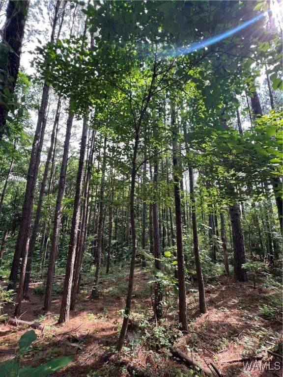 Northport, AL 35475,14510 Yellow Creek Fishing Camp RD