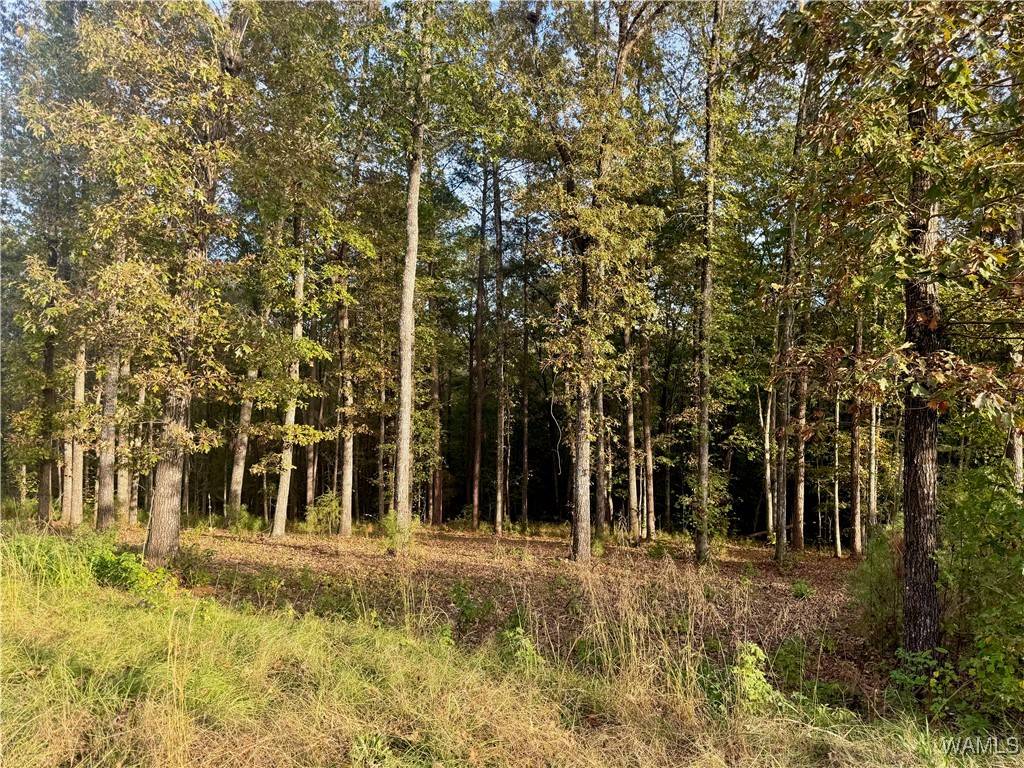 Northport, AL 35475,23 Edgewater DR