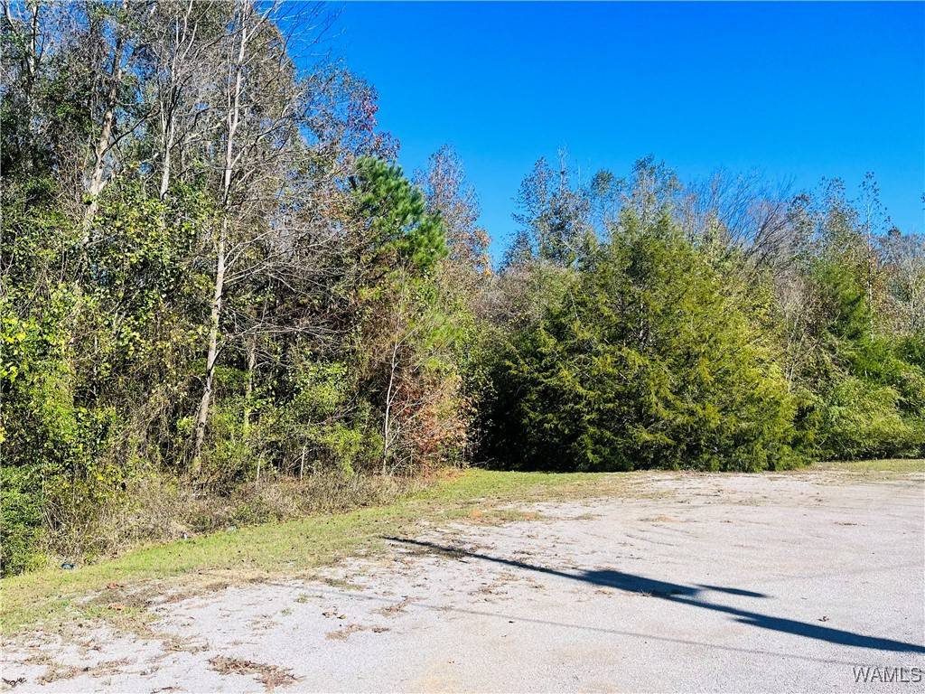 Akron, AL 35441,LOT #16 Jennings Ferry RD