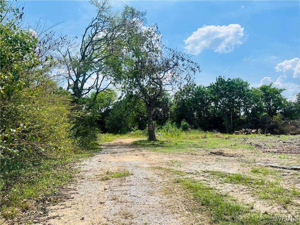 Faunsdale, AL 36738,00 Nash RD