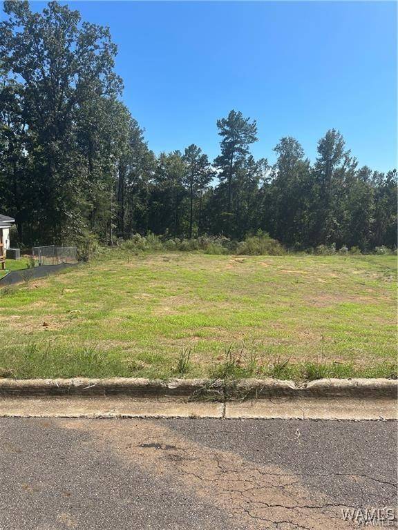 Cottondale, AL 35453,5531 Torri Park DR