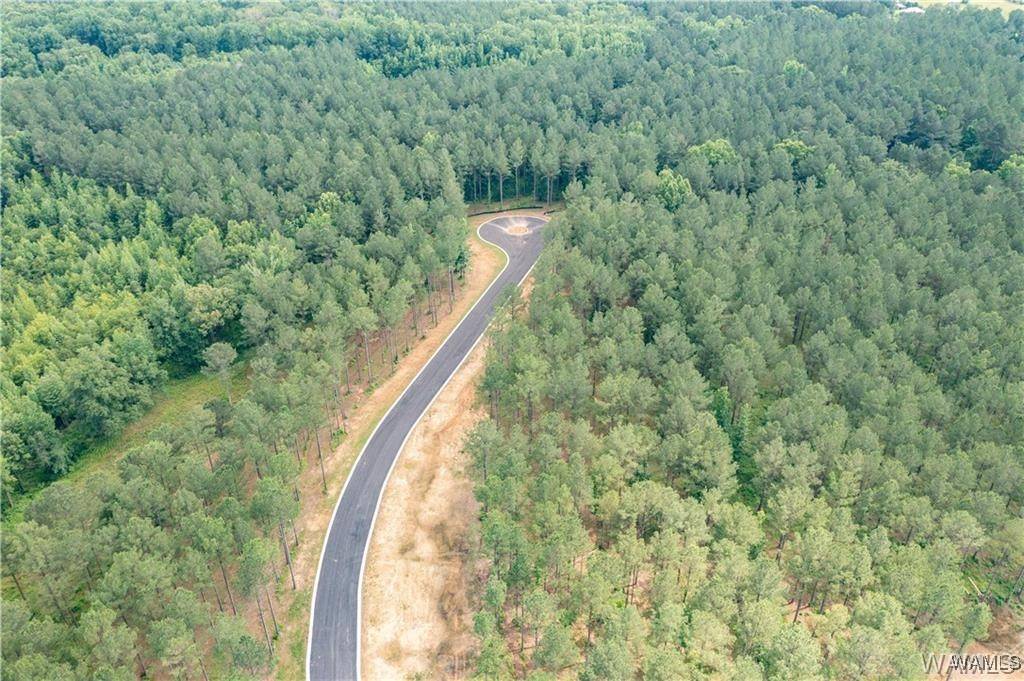 Berry, AL 35546,Lot 16 Stormi WAY