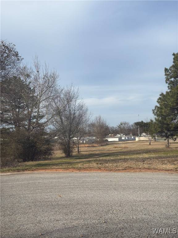 Moundville, AL 35474,7 ALACA RIDGE DR