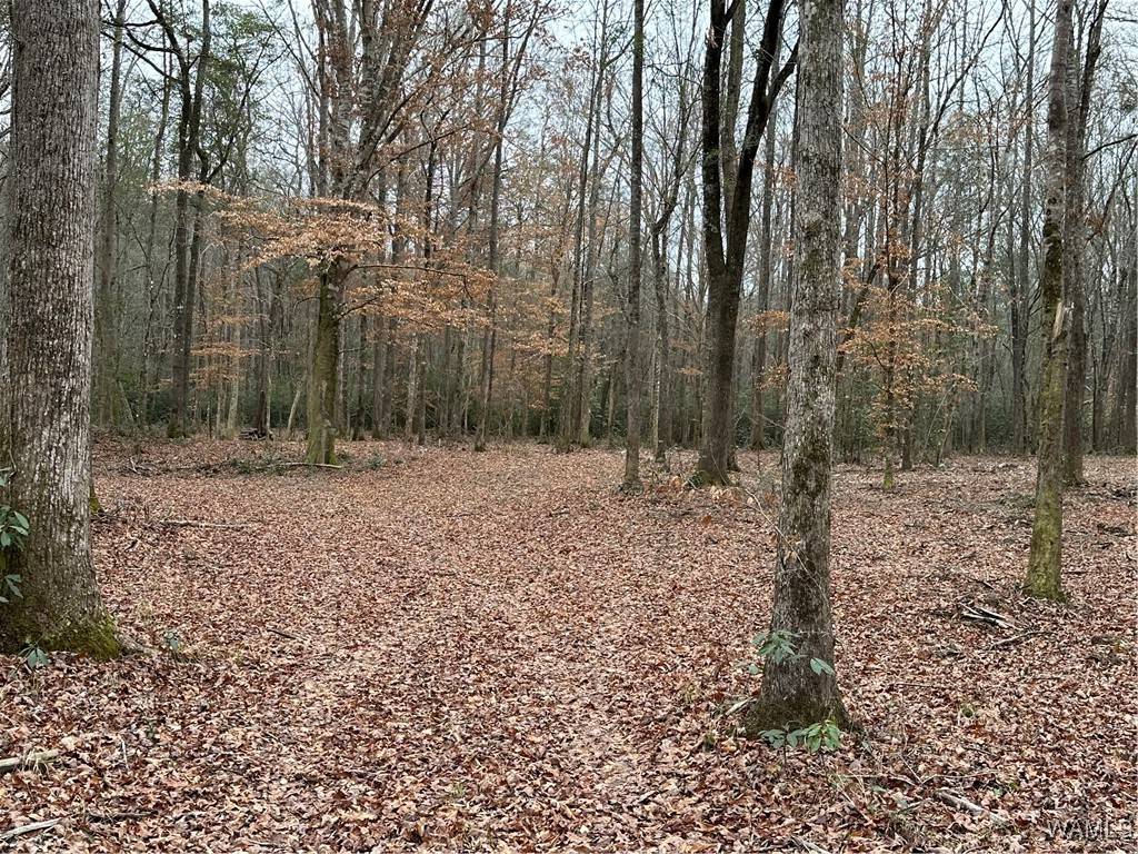 Northport, AL 35475,16286 Beams RD