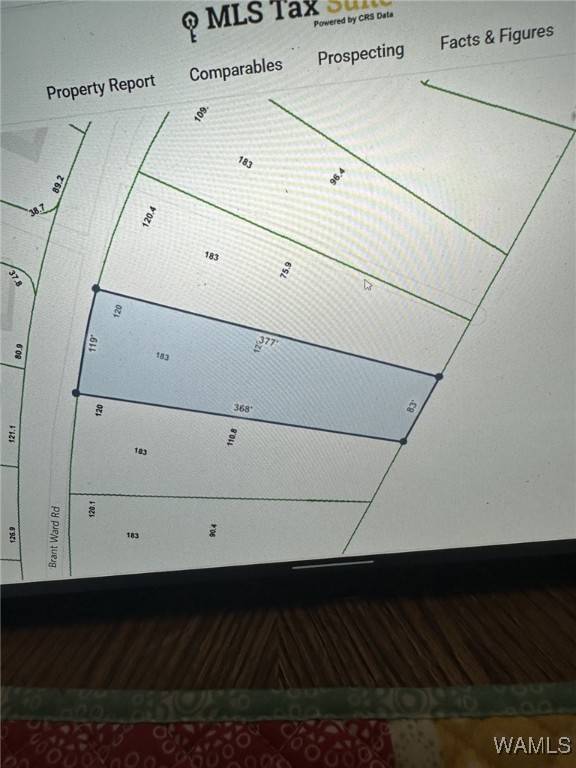 Coaling, AL 35453,10R Brant Ward Rd