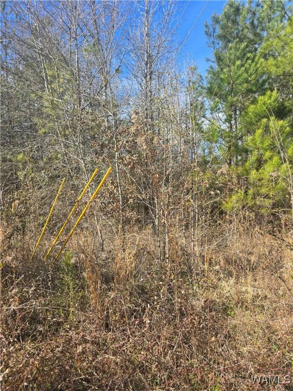 Fosters, AL 35463,16 TIMBERTOP LN