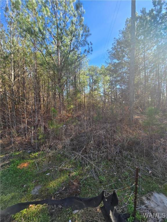 Fosters, AL 35463,18 Timbertop LN
