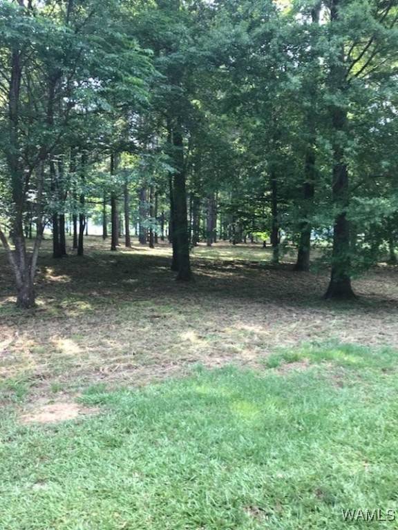 Akron, AL 35441,13 Cypress Point DR