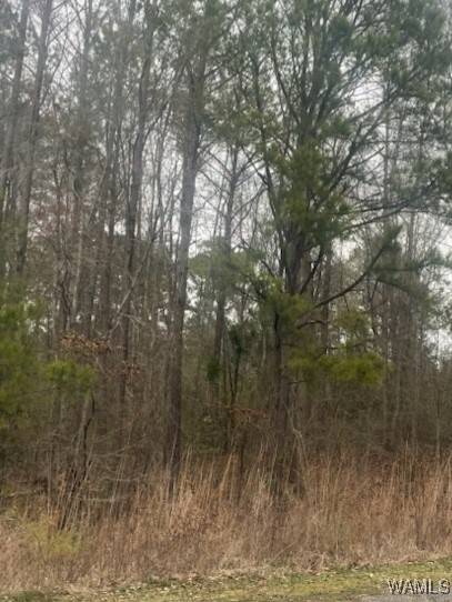 Gordo, AL 35466,Lot 14/15 Magnolia Creek