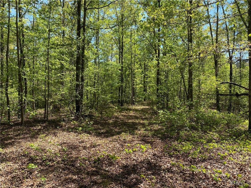 Northport, AL 35475,0 VIC GREEN RD