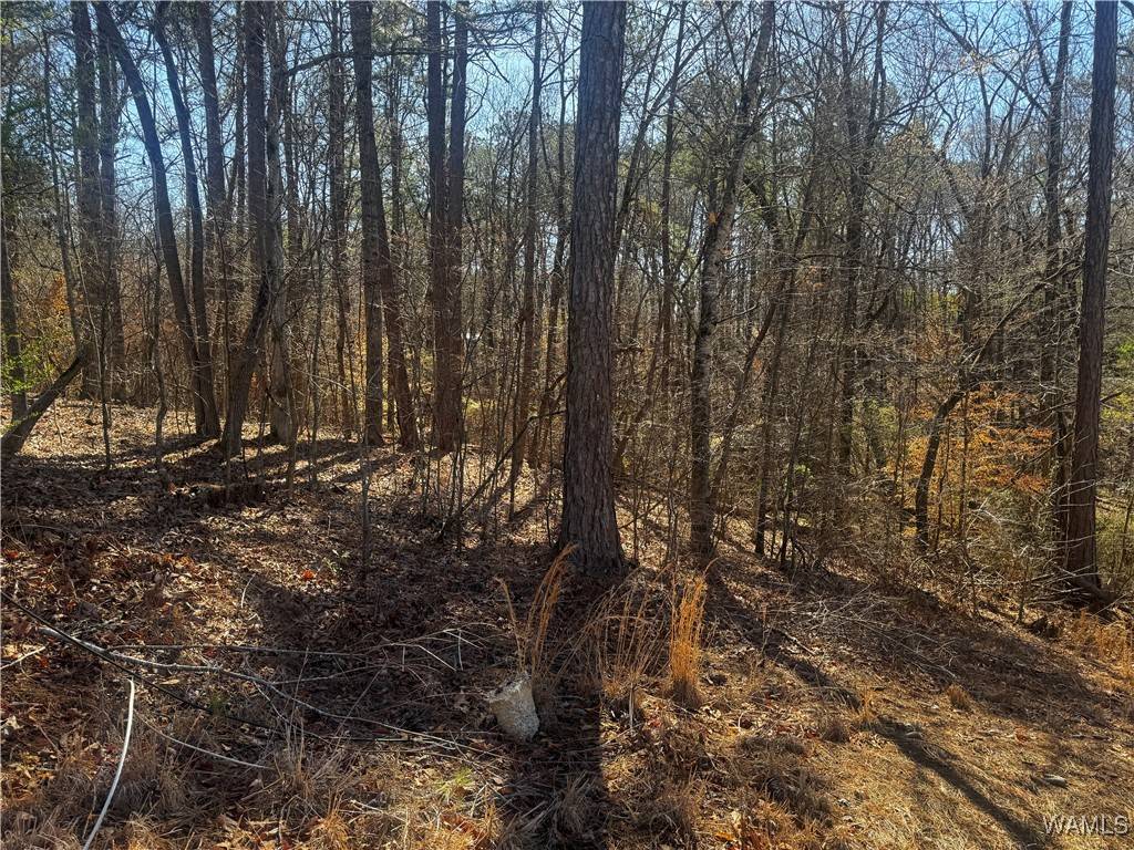 Lake View, AL 35111,0 Oak Forest DR