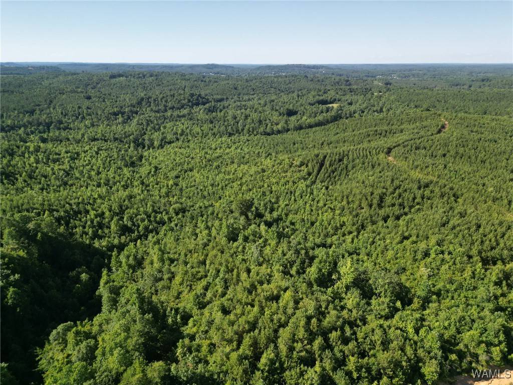 Carbon Hill, AL 35549,00 Nubbin Ridge Ln.
