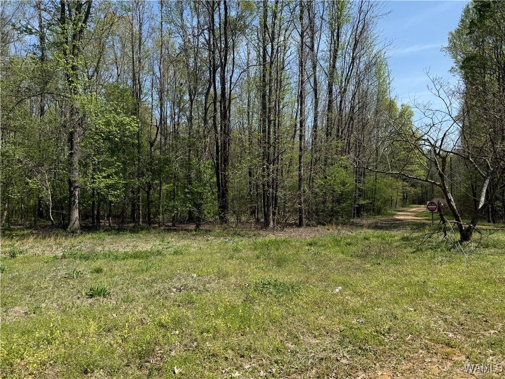 Moundville, AL 35474,1781 RIVERVIEW BEACH RD