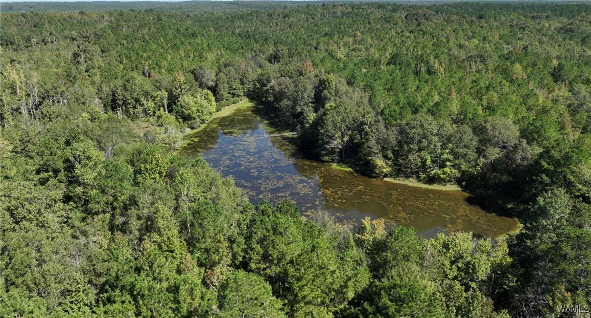 Sweet Water, AL 36748,00005 Spring RD