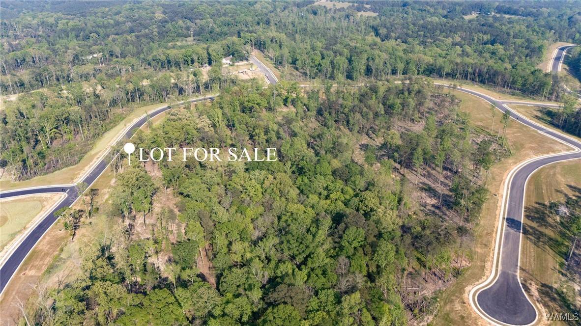 Tuscaloosa, AL 35406,64 Anguilla Avenue