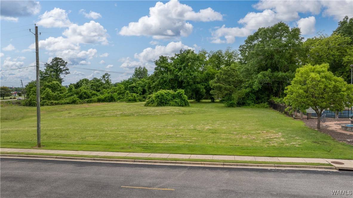Northport, AL 35476,Lot 3 13th Avenue