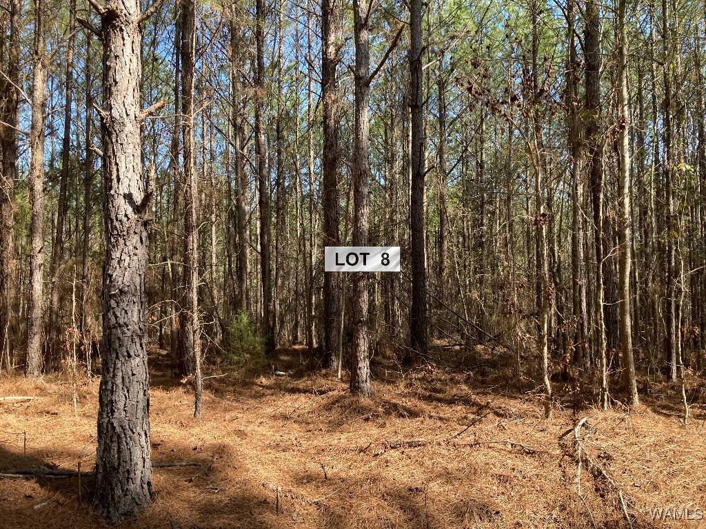 Northport, AL 35475,7 Tilly Branch RD