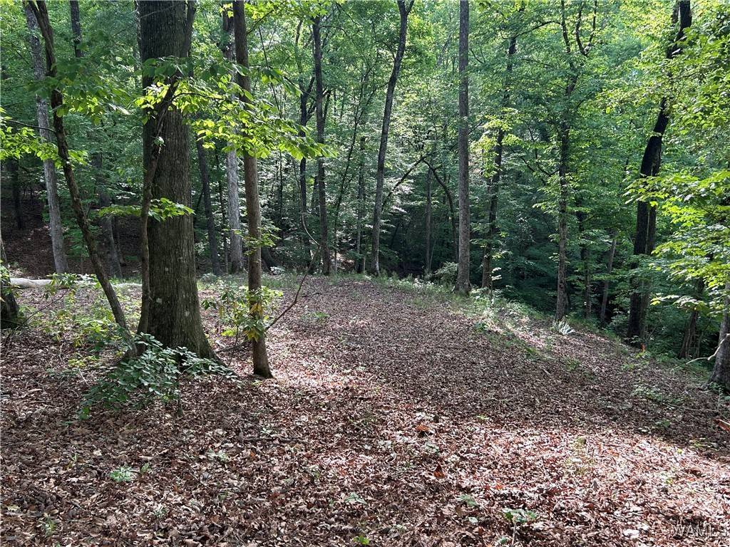 Northport, AL 35475,0 lot 52 Highpoint Cove